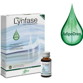 Lynfase Concentrado Fluido 12 Frascos