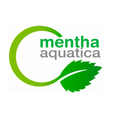 Centro Mentha Aquatica