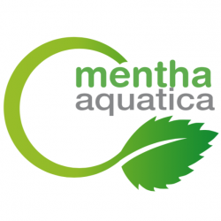 MENTHA AQUATICA