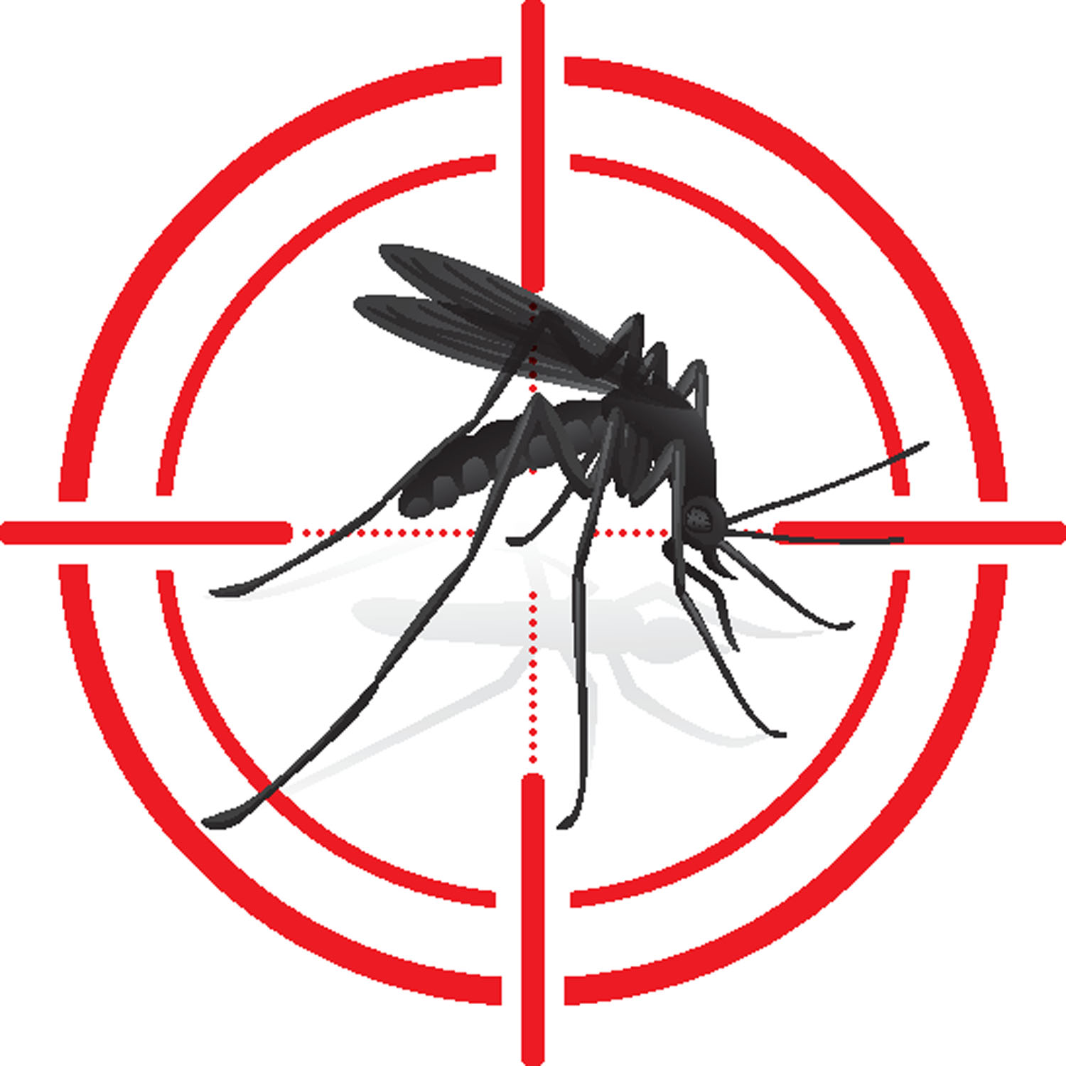 Cómo escoger el mejor repelente de mosquitos