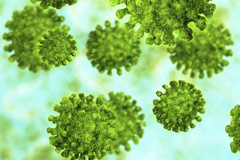 Què és el coronavirus i com afecta les nostres cèl.lules?