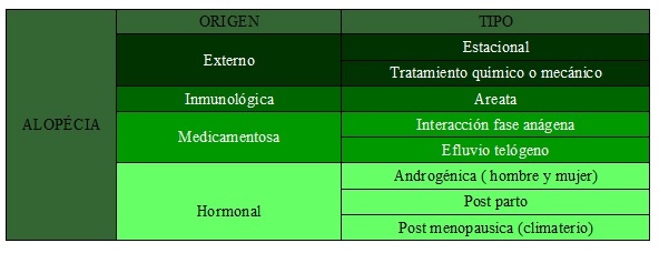 origen de la caída del cabello