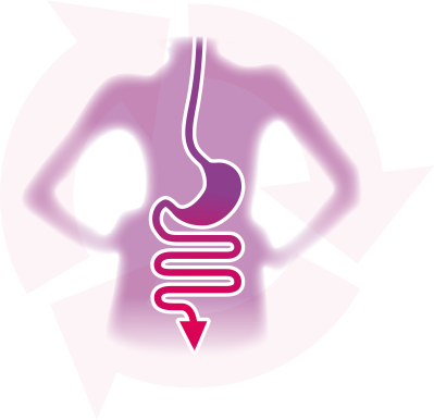 La microflora del intestino tiene mucha influencia en el correcto tránsito intestinal 