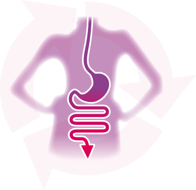 La microflora del intestino tiene mucha influencia en el correcto tránsito intestinal