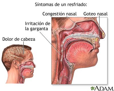 ¿Resfriado otra vez? Déjate aconsejar!