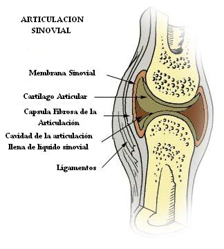 ¿Te duelen las articulaciones? 