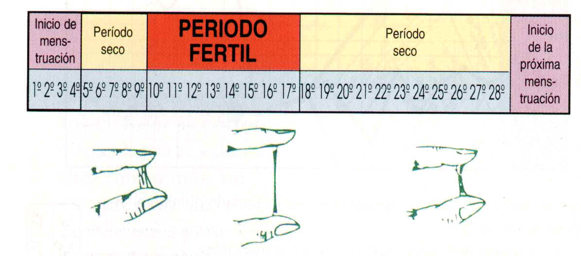 Métodos naturales de control de natalidad. Pros y contras