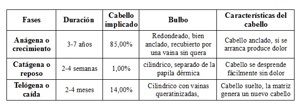 ciclo de crecimiento del cabello