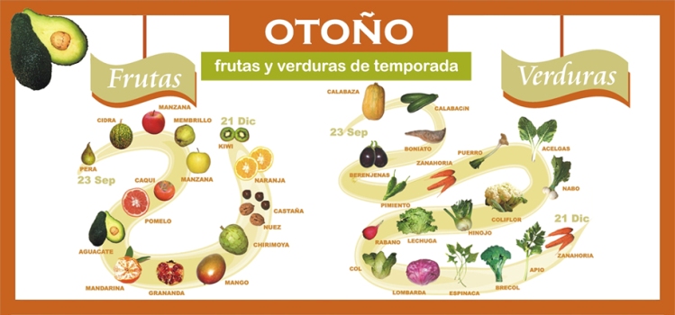 10 Alimentos imprescindibles en Otoño