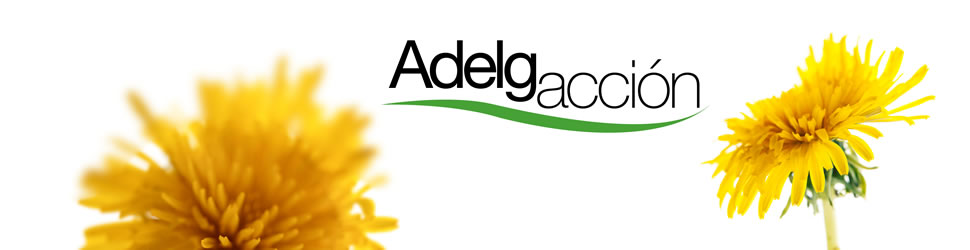 adlgaccion1