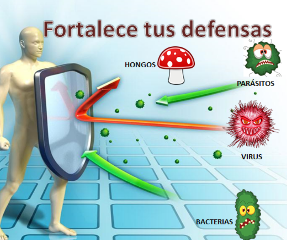 Defensas a punto, Otoño saludable