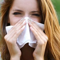 La alergia está apunto de comenzar con la llegada de la primavera