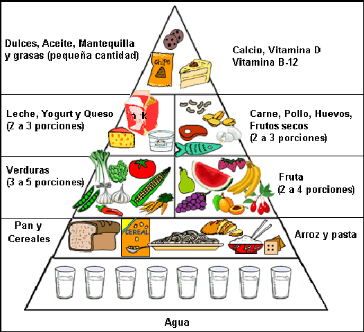 Alimentación saludable
