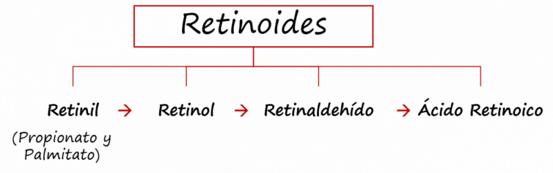 Retinoides - Retinol - Ácido Retinoico