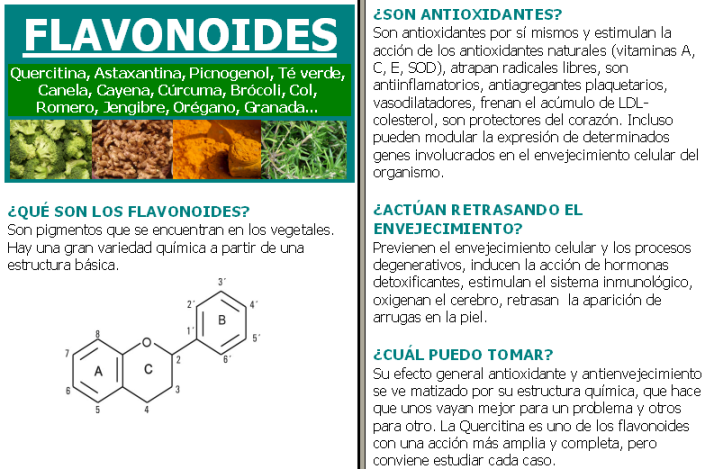 Flavonoides: garantía de salud