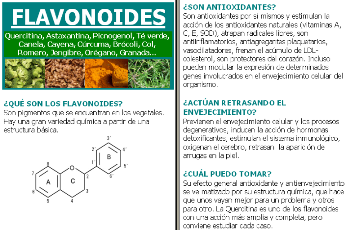 Resultado de imagen para flavonoides para la salud