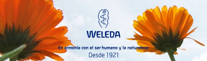 Medicina Antroposófica: la persona como eje.