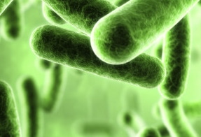 Probiovance: un producto para cada problema de salud.