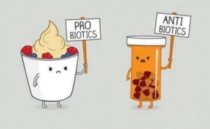 ProvsAnti-e1408040549675