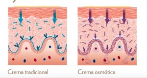 señales positivas favorecidas por la crema osmotica