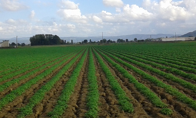 De los campos de la Toscana a tu casa: así se elaboran los productos naturales de Aboca