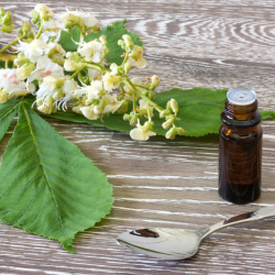 Terapia floral