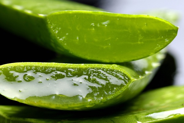 Todos los beneficios de un buen gel de aloe vera