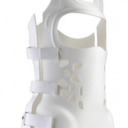 Cors&eacute; de Swan 