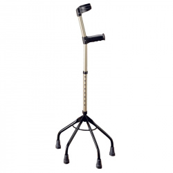 Cuadr&iacute;pode tipo bast&oacute;n ingl&eacute;s 