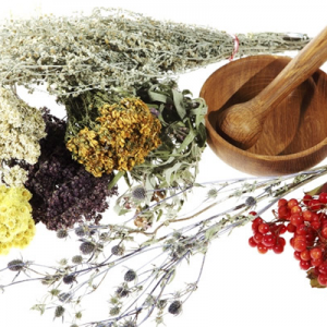 Fitoterapia