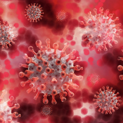 SISTEMA IMMUNE