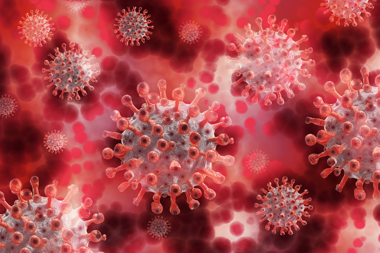 SISTEMA IMMUNE