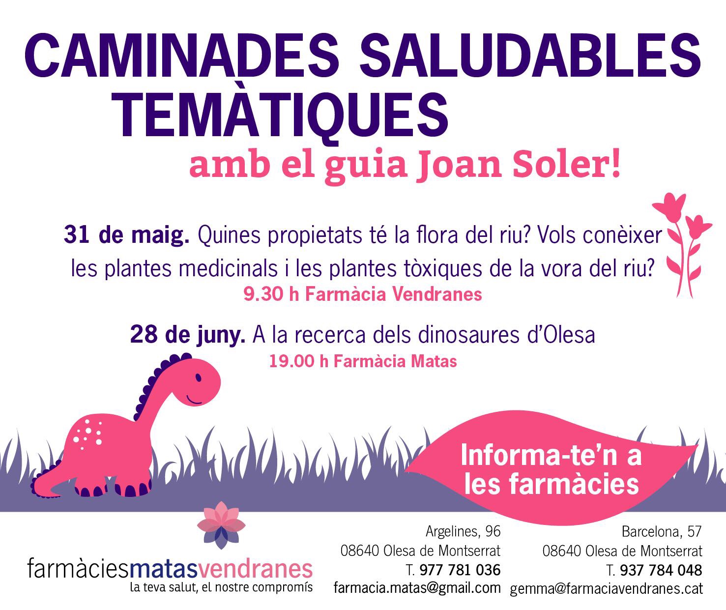 CAMINADES SALUDABLES TEMÀTIQUES