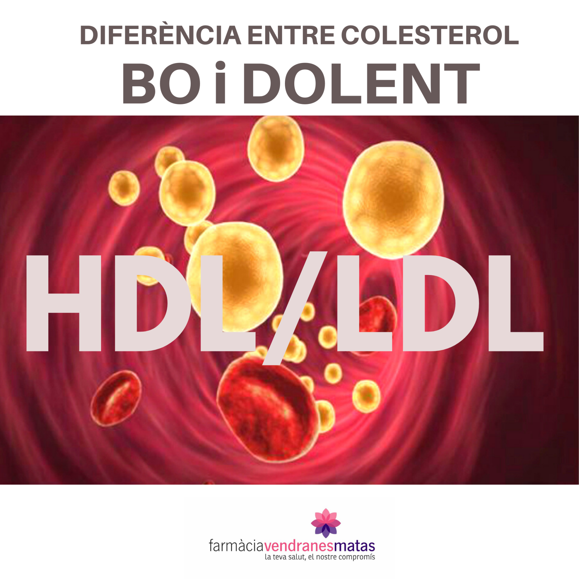 DIFERÈNCIA ENTRE COLESTEROL BO (HDL) I COLESTEROL DOLENT (LDL)