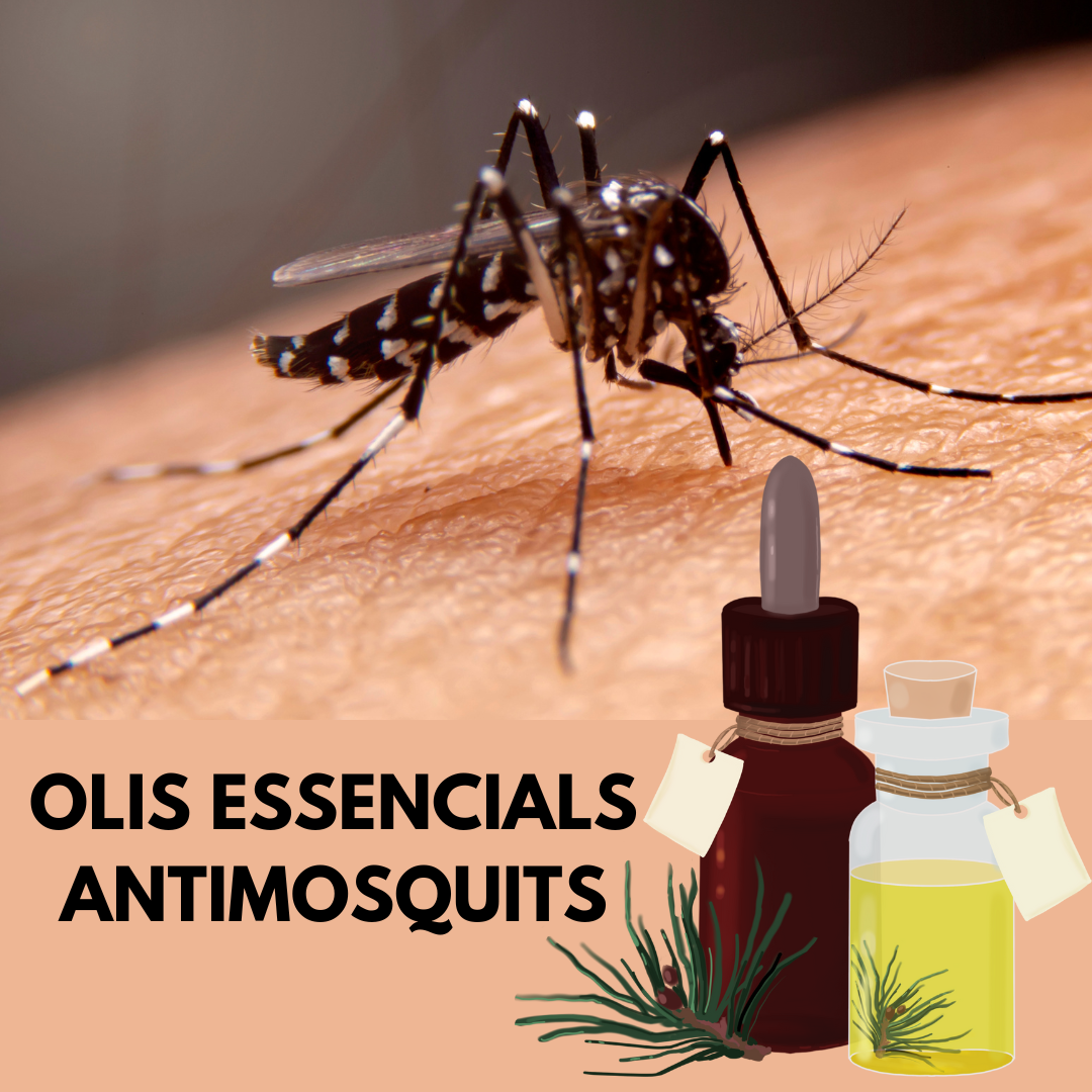 OLIS ESSENCIALS REPELENTS DE MOSQUITS